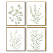 Drsoum Botanical Plant Framed Wall Art Boho Wall Decor for Bathroom Sage Green Eucalyptus Leaf Prints Minimalist Aesthetic Ready to Hang Set of 4, 8x10 in (Natural Framed)
