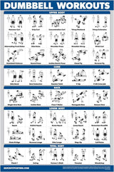 Palace Learning Dumbbell Workout Exercise Poster - Free Weight Body Building Guide | Home Gym Chart - LAMINATED, 18" x 24"
