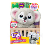 LITTLE LIVE PETS My Baby Koala Kiki, Koala Stuffed Animal | Interactive plush with 40+ sounds and reactions, blinking eyes, yawning, and a 2-in-1 eucalyptus leaf teether