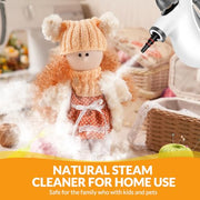 Handheld Steam Cleaner, Pressurized Hot Steam with 12 Accessories for Home